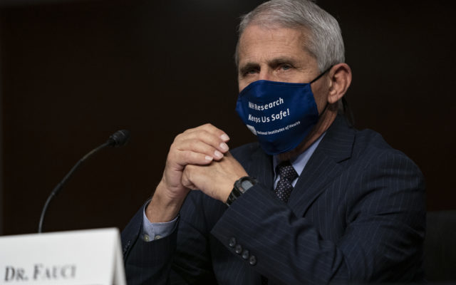 Dr Fauci Now Says National Mask Mandate Needed