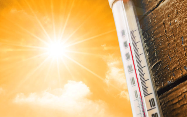 Covid Waning, Heat Searing; High Temps Replace Virus As Top Reason To Stay Home